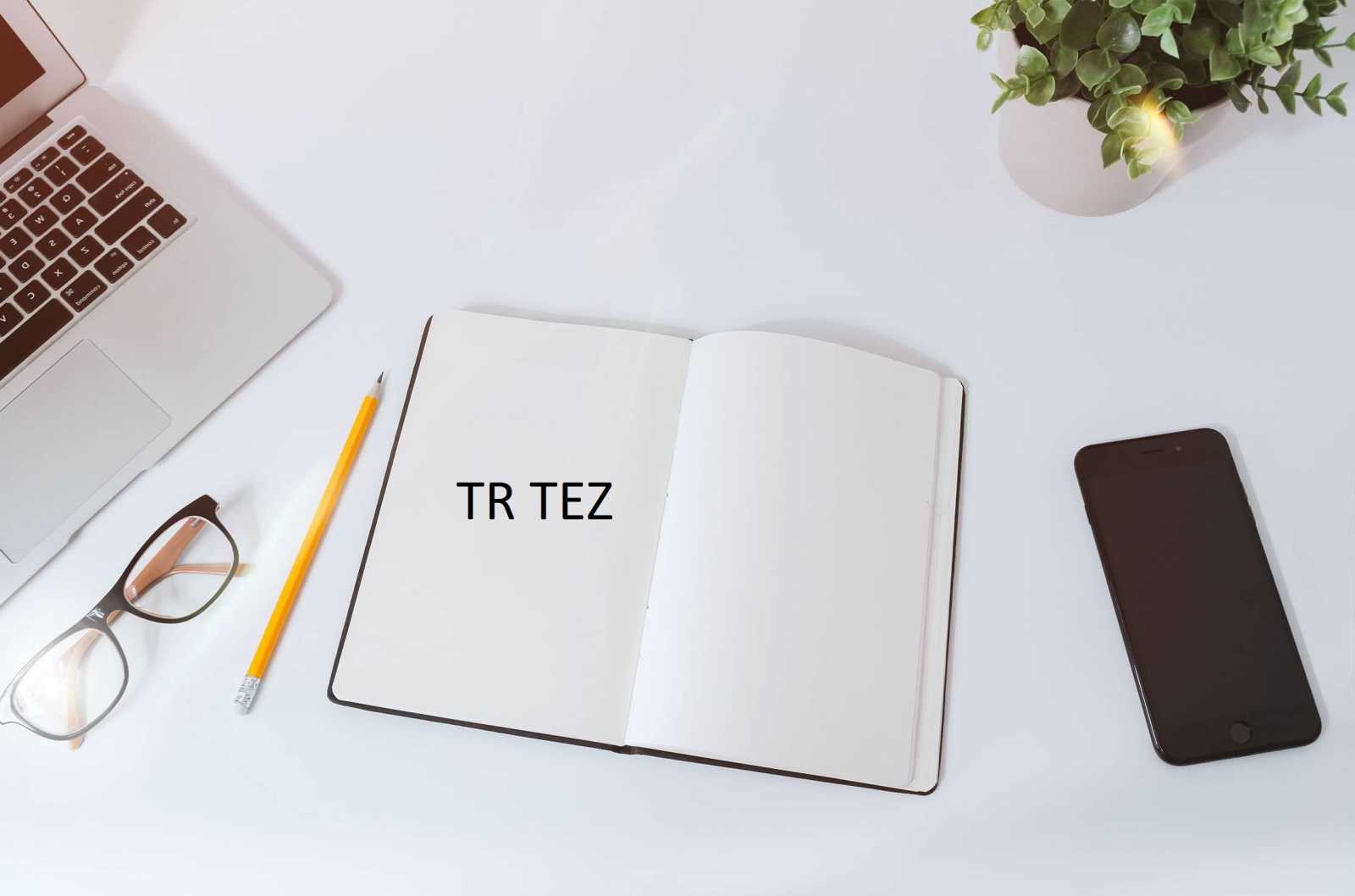 KKTC Üniversiteleri ve Kıbrıs’ta Eğitim ve Tez Danışmanlık