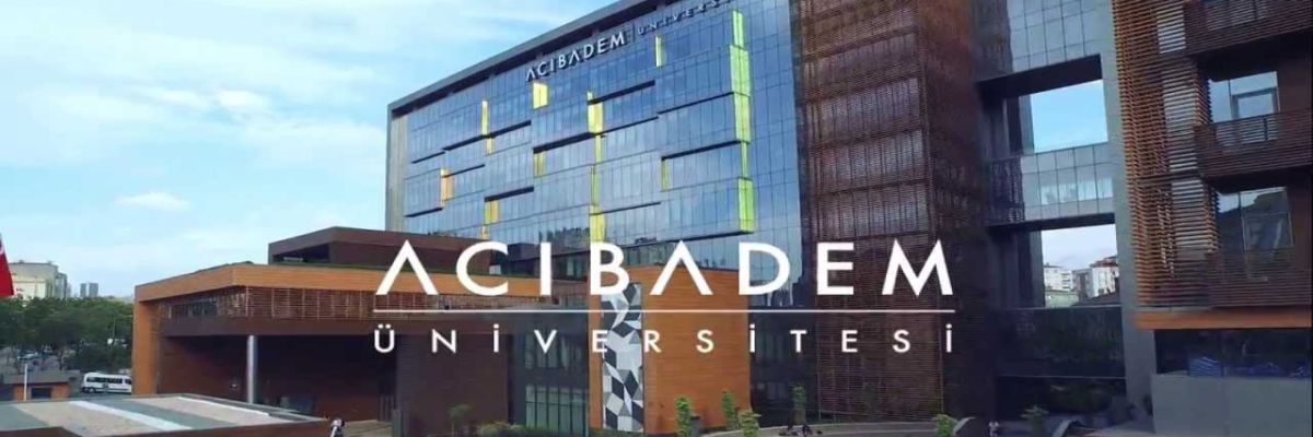 Acıbadem Üniversitesi Tez Danışmanlık