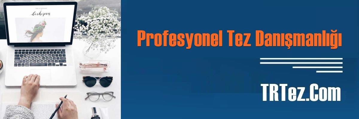 Profesyonel Tez Danışmanlığı Alın