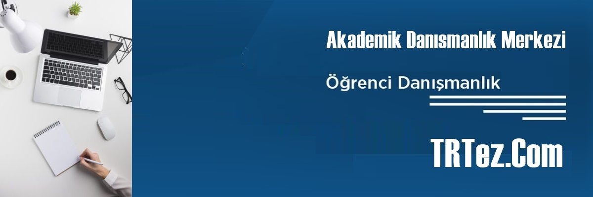 Akademik Tez Editörü
