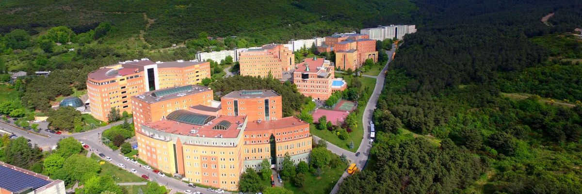 Yeditepe Üniversitesi Tez Hazırlama Danışmanlık