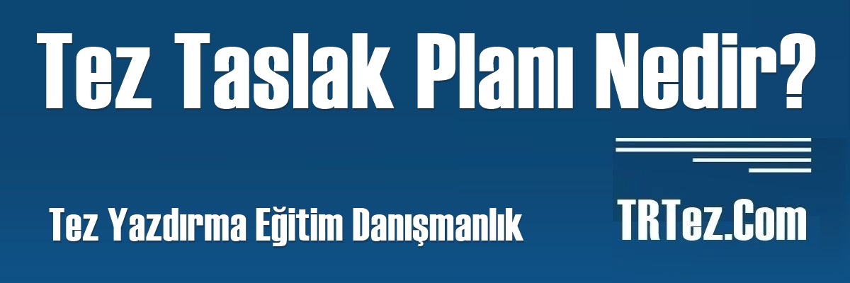 Tez Taslak Planı Nedir?