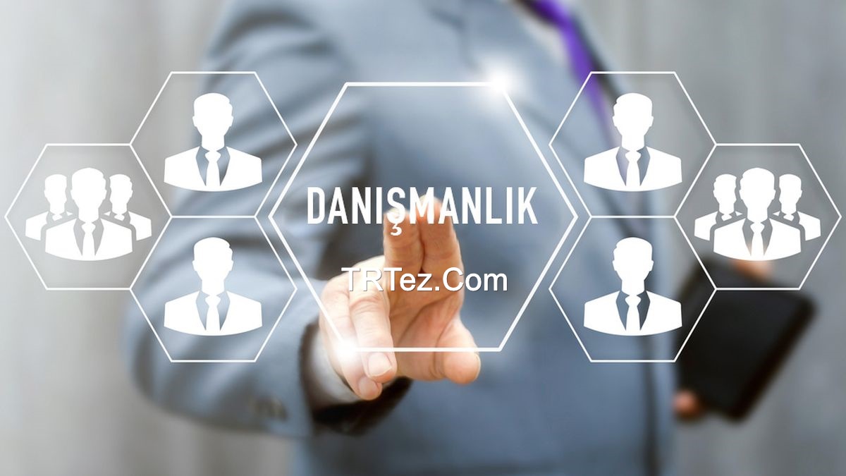 Tez Danışmanlık