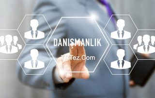 danışmanlık